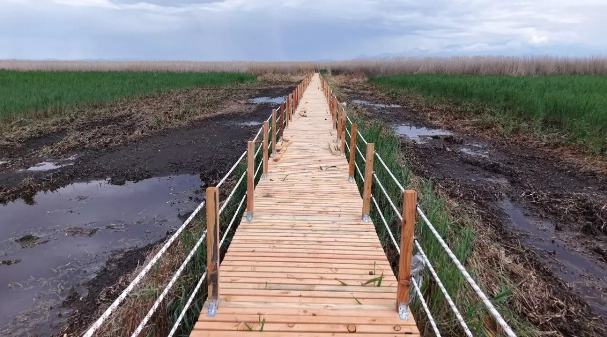 Sultan Sazlığı\'nda Ahşap Yürüyüş Yolu Yenilendi