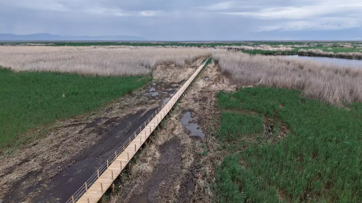 Sultan Sazlığı\'nda Yürüyüş Yolu Yenilendi