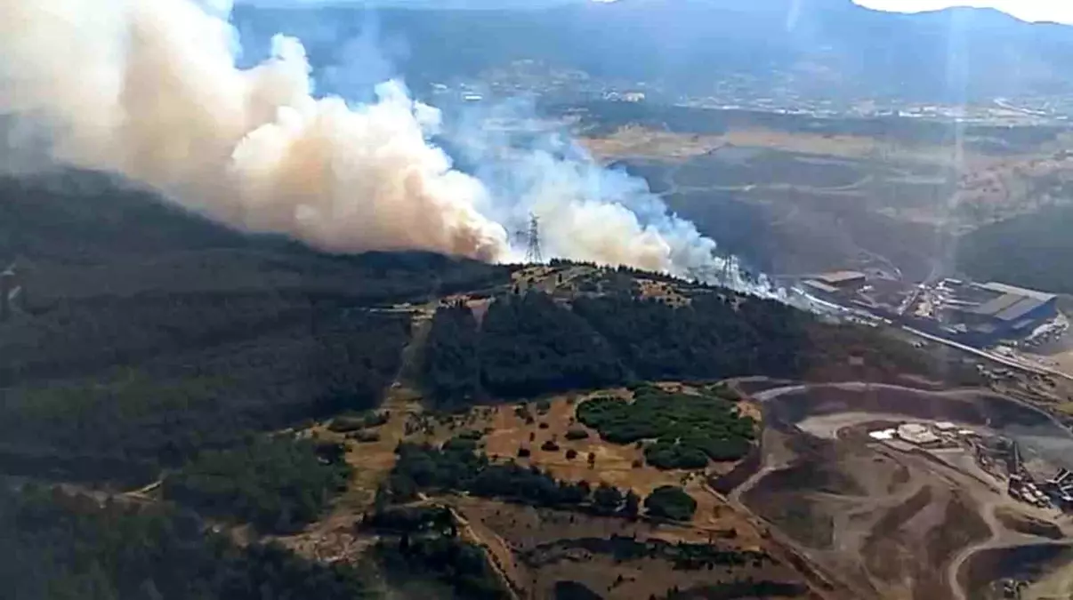 Aliağa\'da Orman Yangını
