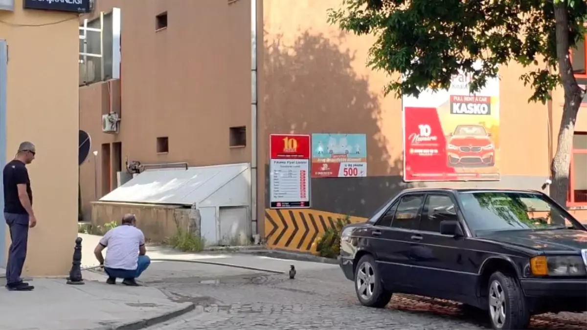 Yavru Karga Kurtarıldı