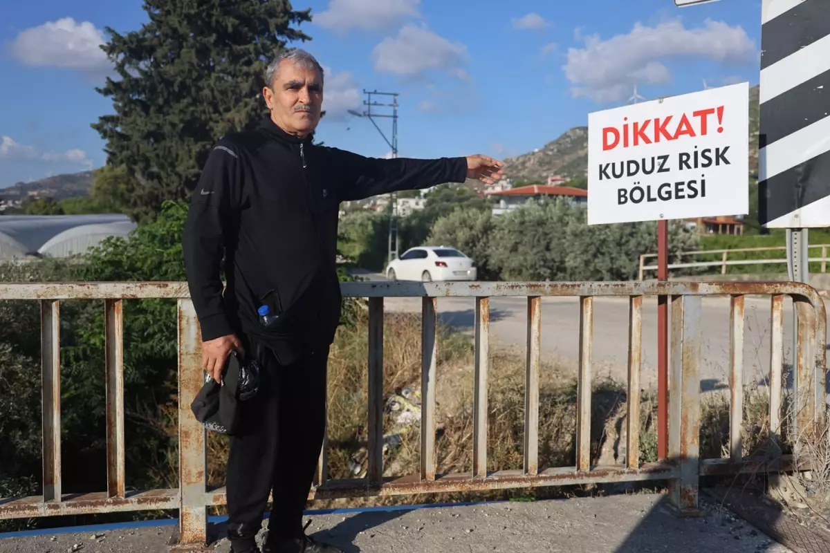 Hatay\'da 4 mahalleye kuduz karantinası, vatandaş sokağa çıkarken tedirgin