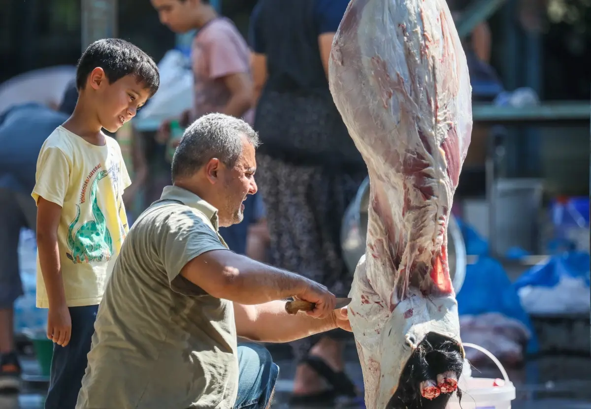 Kurban Etlerinde Salmonella Uyarısı!