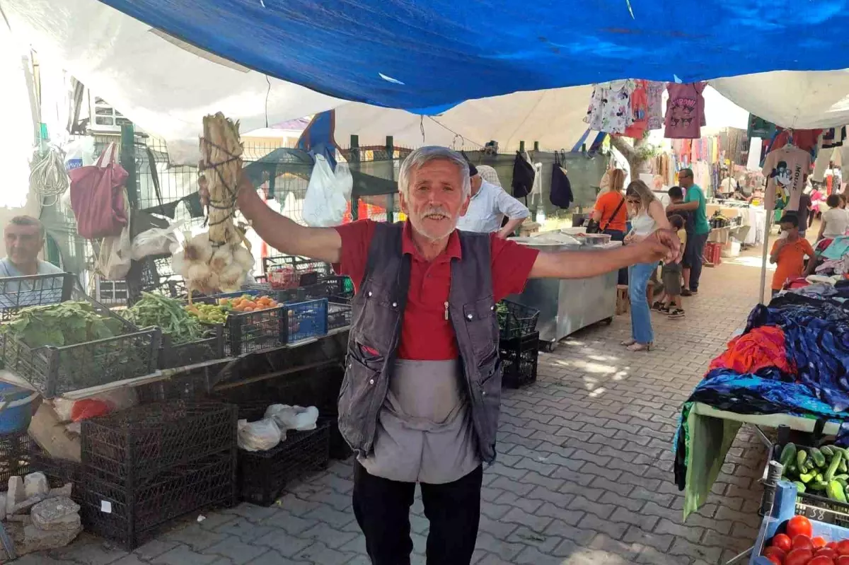 Neşe Kaynağı Pazarcı