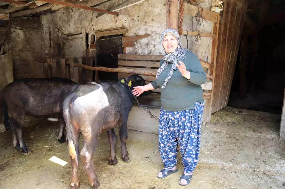 Eskişehir\'de Kırsal Kalkınma İçin Yerel Üreticilere Destek