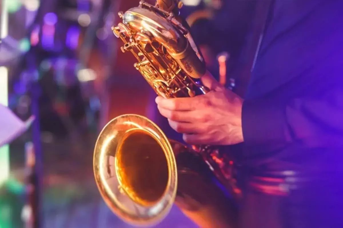 Şarkıcı ve çalgıcılara mesleki standart geliyor