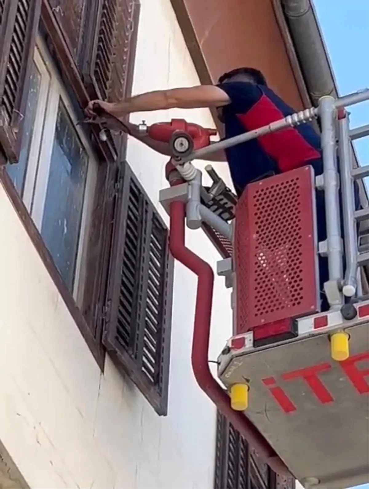 Hatay\'da Mahsurdaki Kırlangıç Kurtarıldı