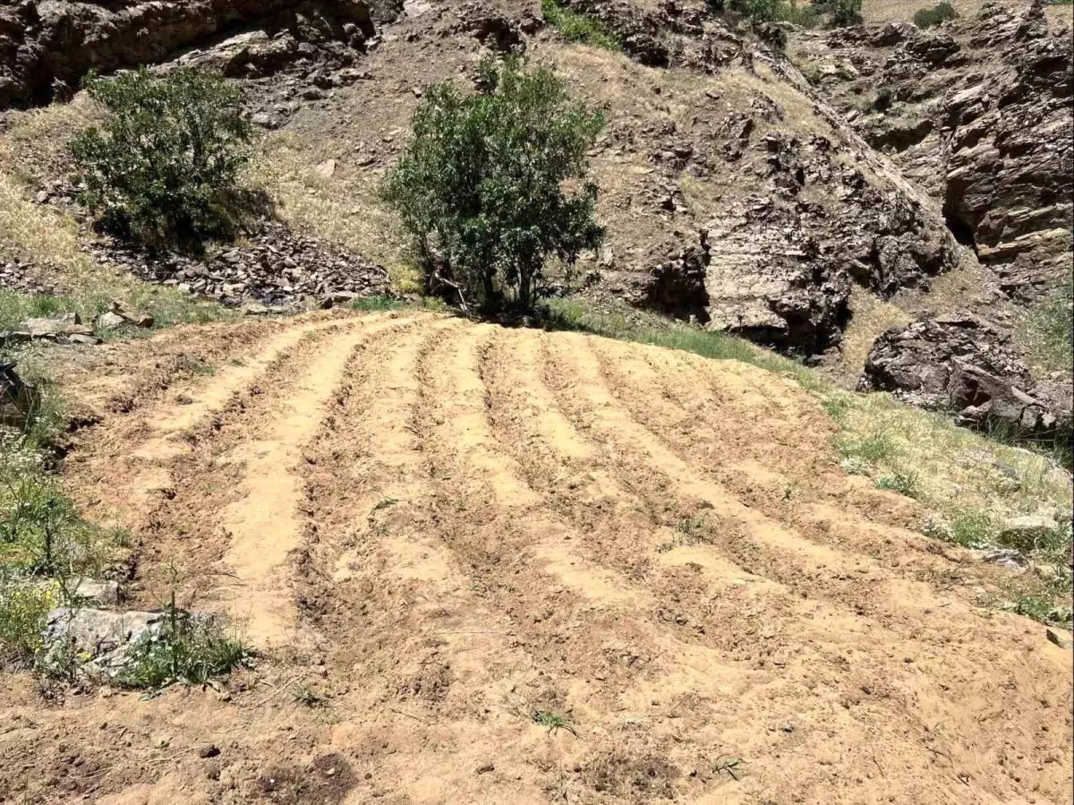 Bingöl\'de Uyuşturucu Operasyonu