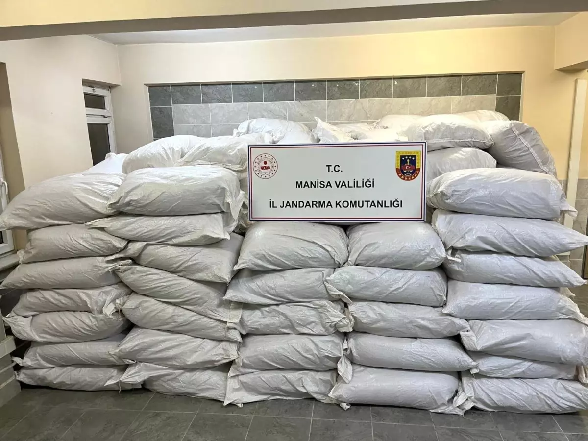 Manisa\'da Tütün Operasyonu