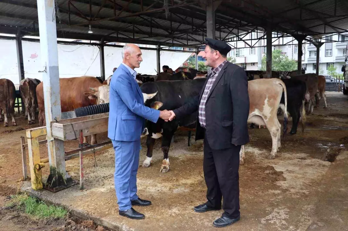Ordu\'da Kurban Bayramı Hazırlıkları Tamamlandı
