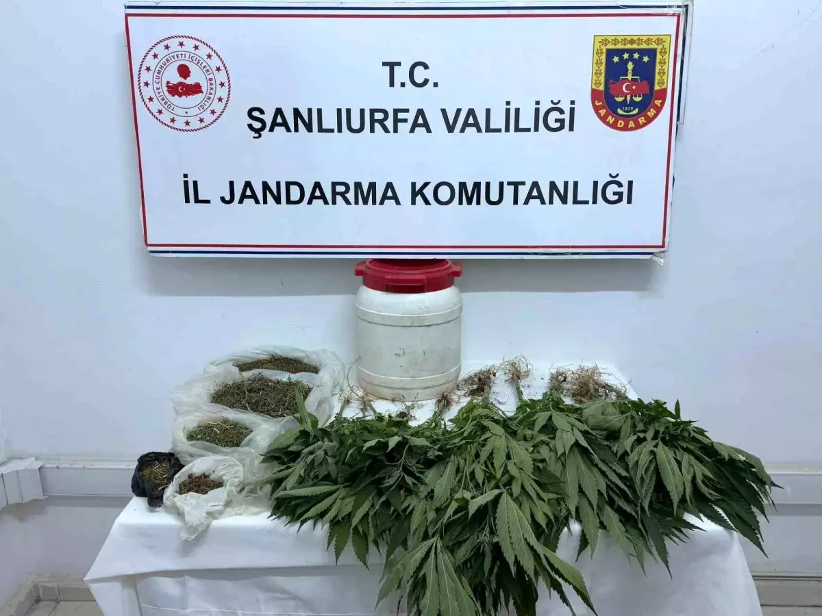 Şanlıurfa\'da Uyuşturucu Operasyonu