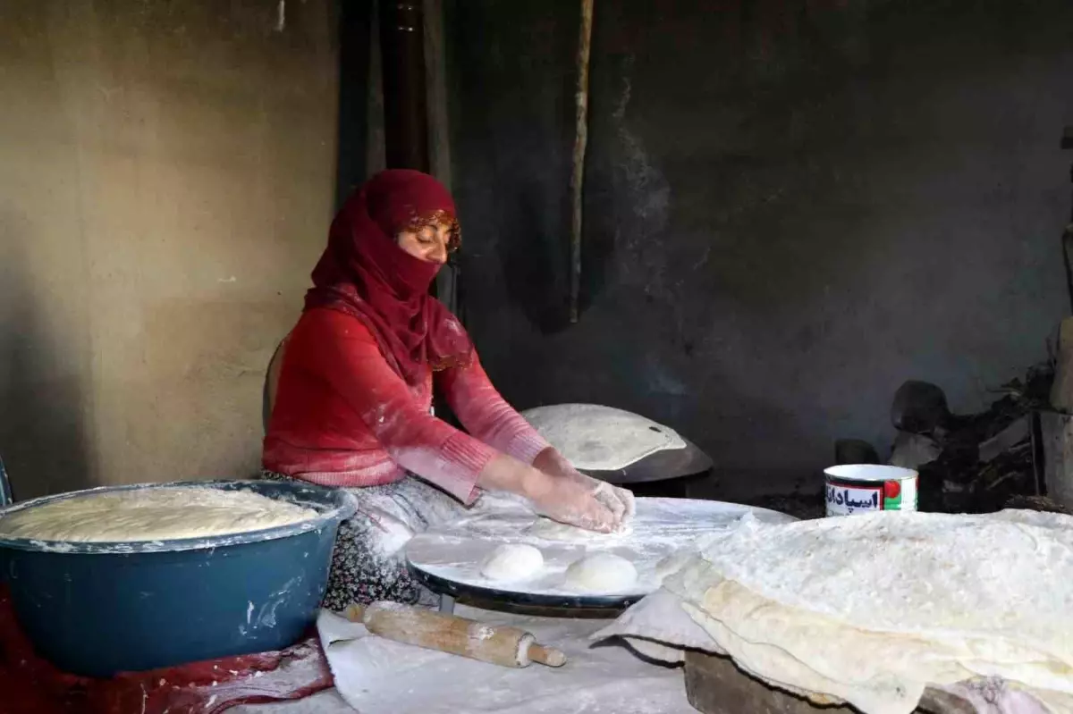 Diyadin\'de Yayla Hazırlıkları Başladı