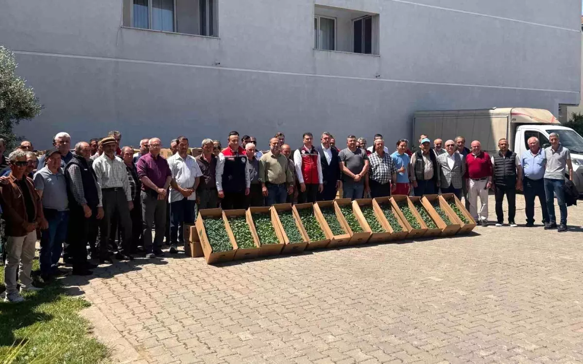 Tekirdağ\'da Sebze Üretimi Artıyor