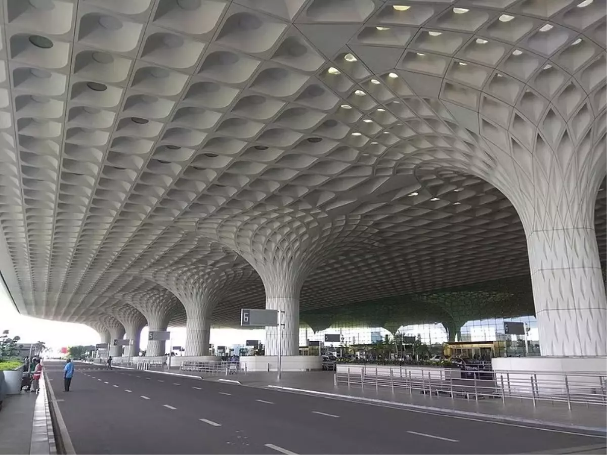 Mumbai Havalimanı\'nda 48 Zehirli Yılan Ele Geçirildi