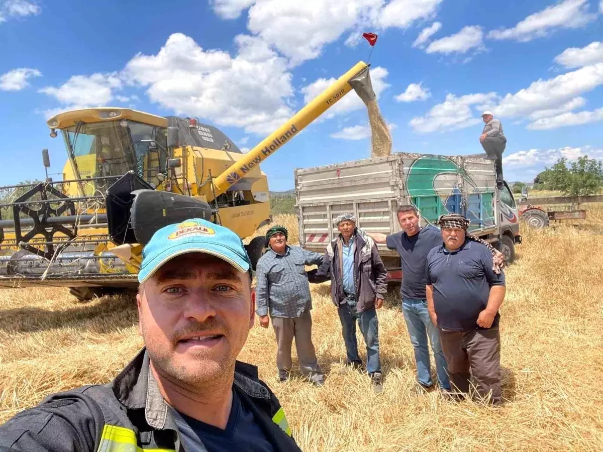 Aliağa\'da 2025 Hububat Hasadı Başladı