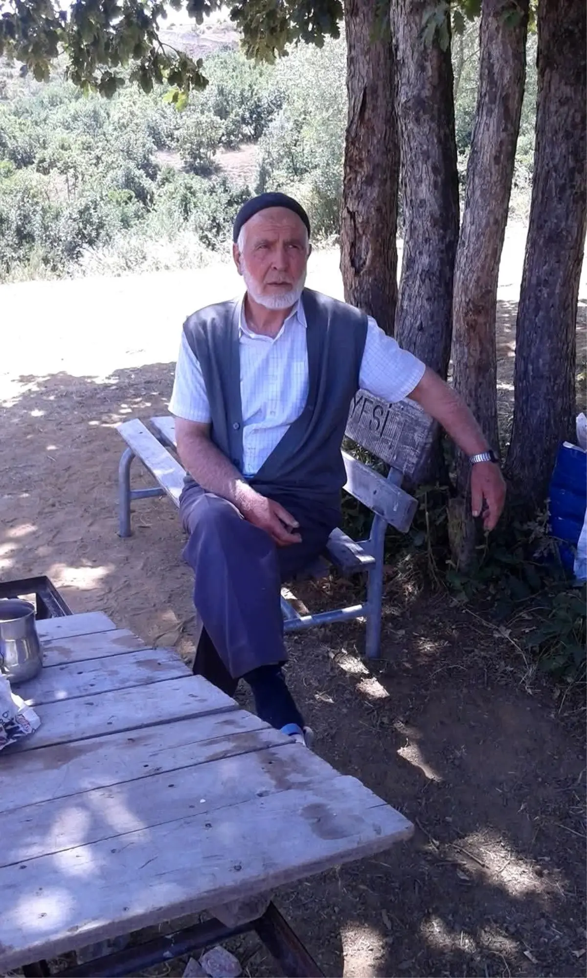 Kene Isırığı Hayat Aldı