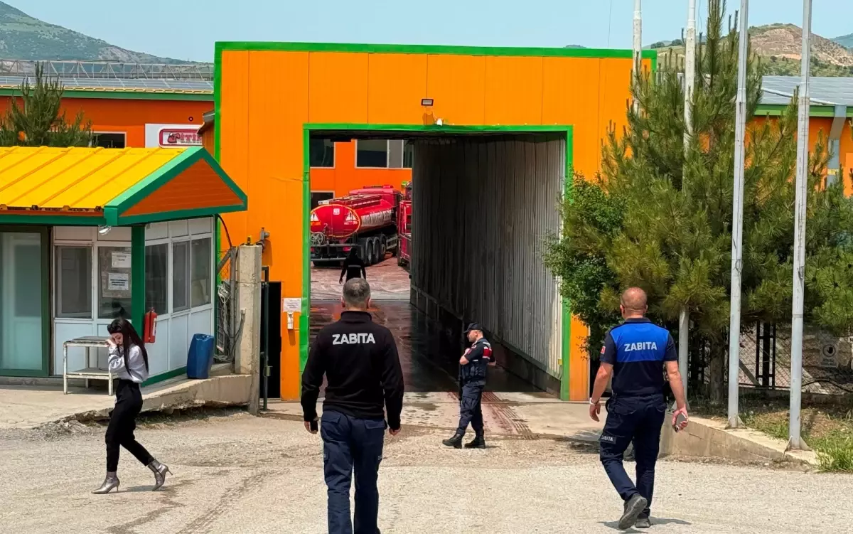 Ankara\'da yumurta üretim tesisinde yangın: 150 bin tavuk telef oldu