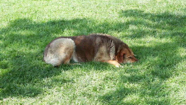 Bayramda hava sıcaklıkları 35 dereceye kadar çıkacak