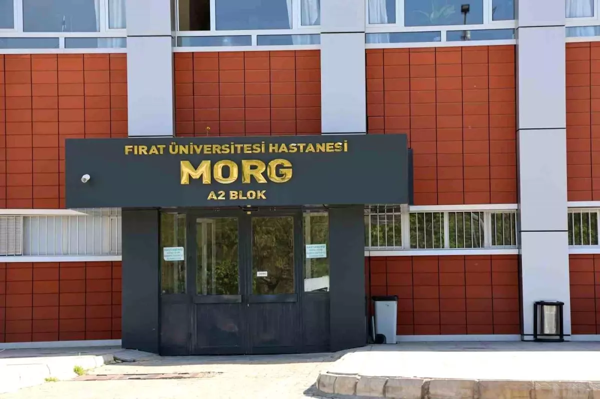 Elazığ\'da genç dağda düştü, hayatını kaybetti