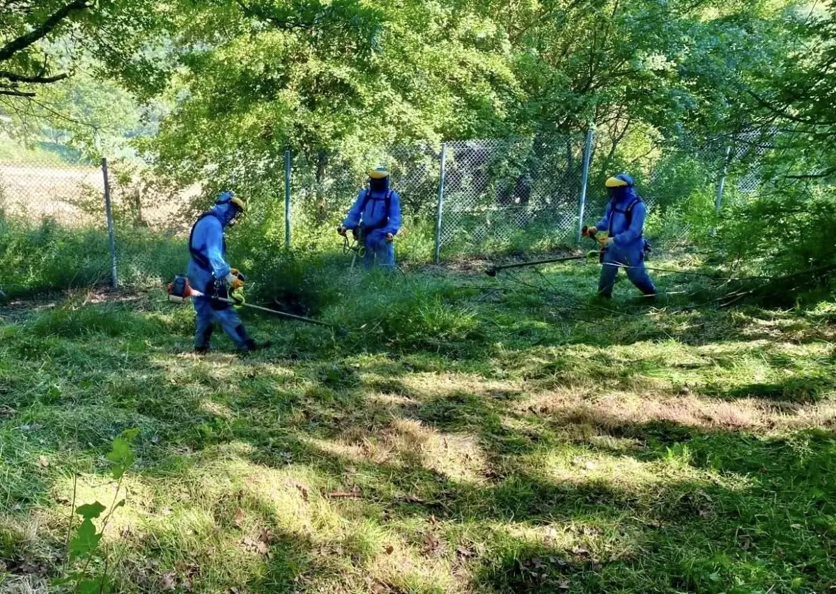 Körfez Belediyesi Mezarlıklarda Bakım Çalışmaları Tamamladı