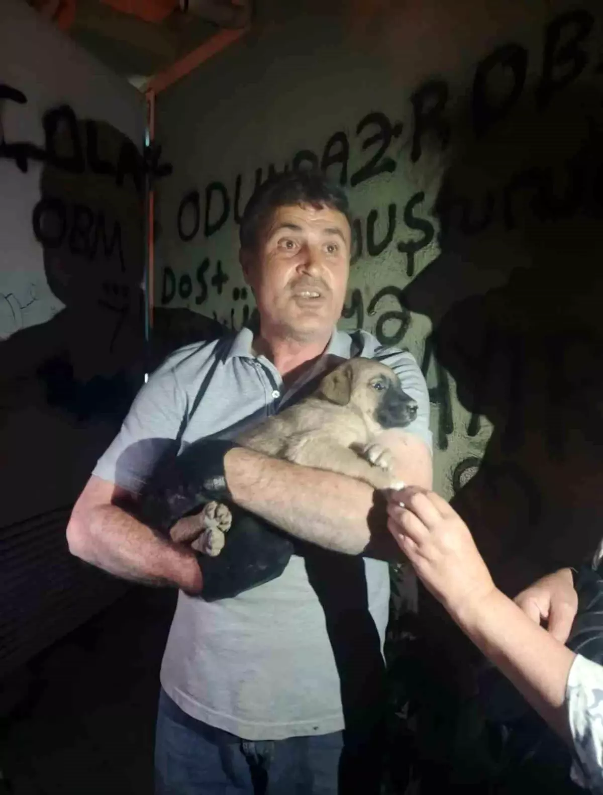 Eskişehir\'de Yavru Köpek Trafodan Kurtarıldı