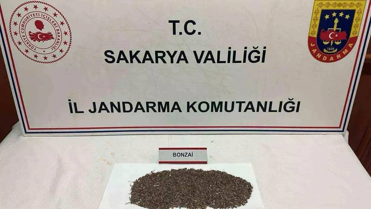 Sakarya\'da Uyuşturucu Operasyonu: 150 Gram Bonzai Ele Geçirildi