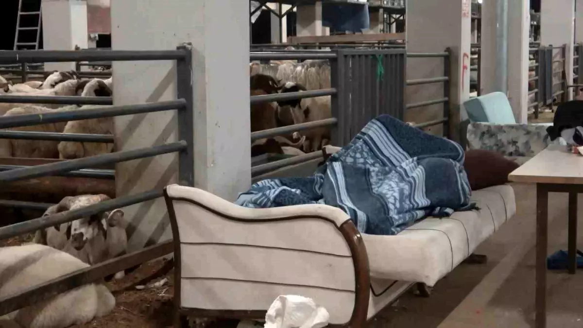 Bursa\'da Kurbanlıklarla Nöbet Tutuluyor