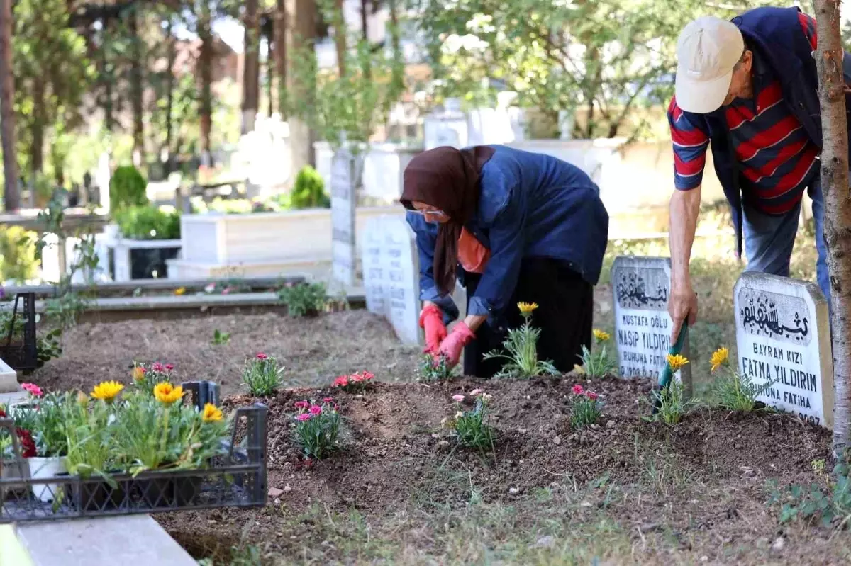 Kocaeli Büyükşehir Belediyesi\'nden Mezarlık Ziyaretine Çiçek Dağıtımı