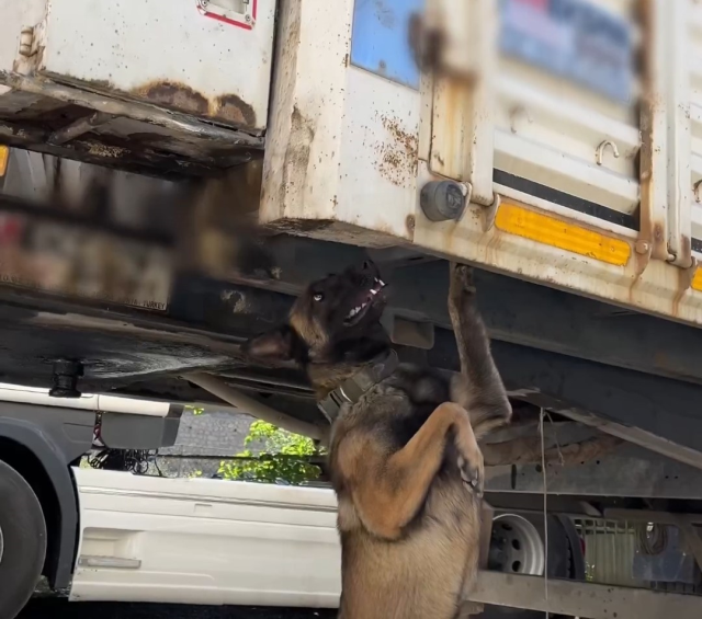 Tırın içine gizlenmiş 66 kilo uyuşturucu madde ele geçirildi