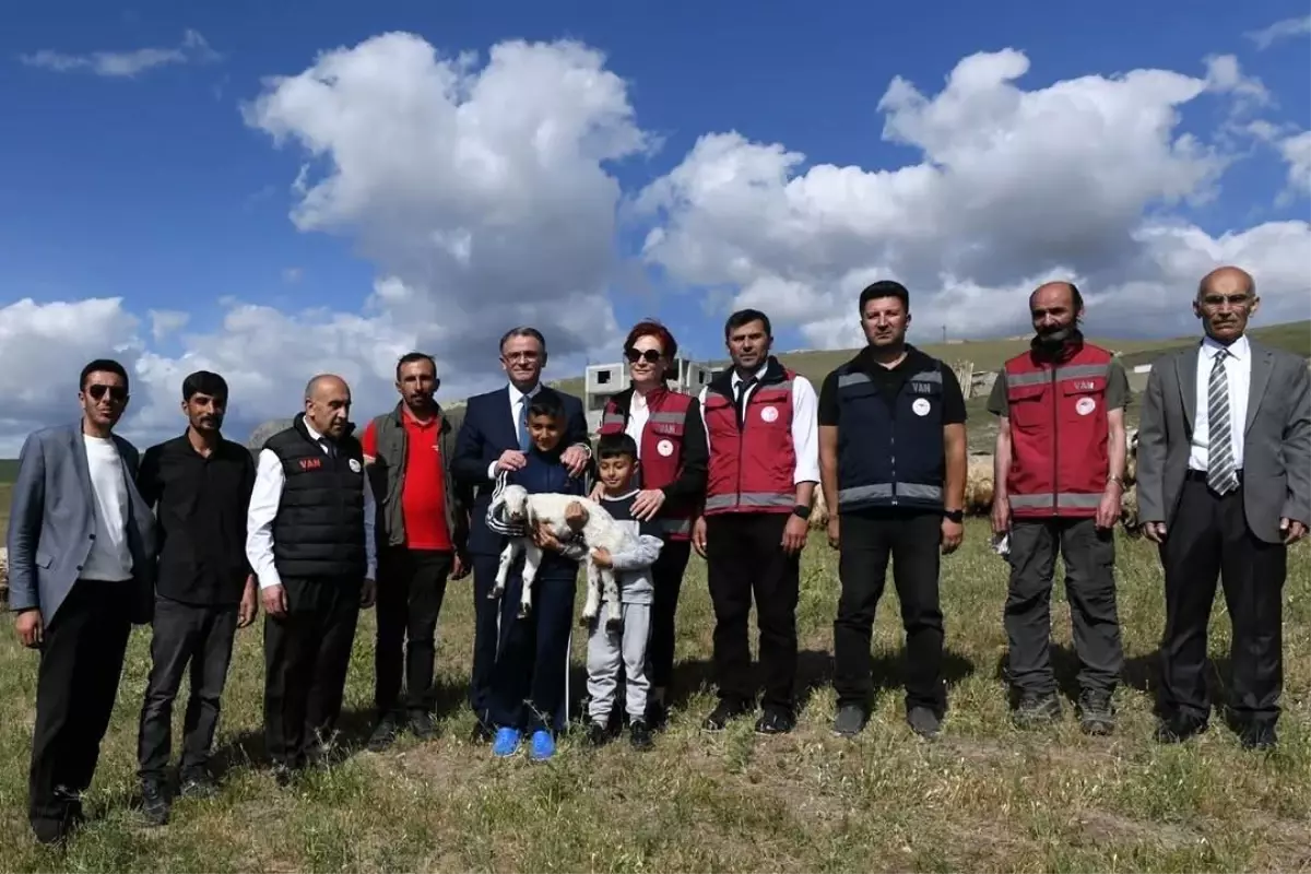 Koyunculuk Projesi ile Çiftçilere Destek