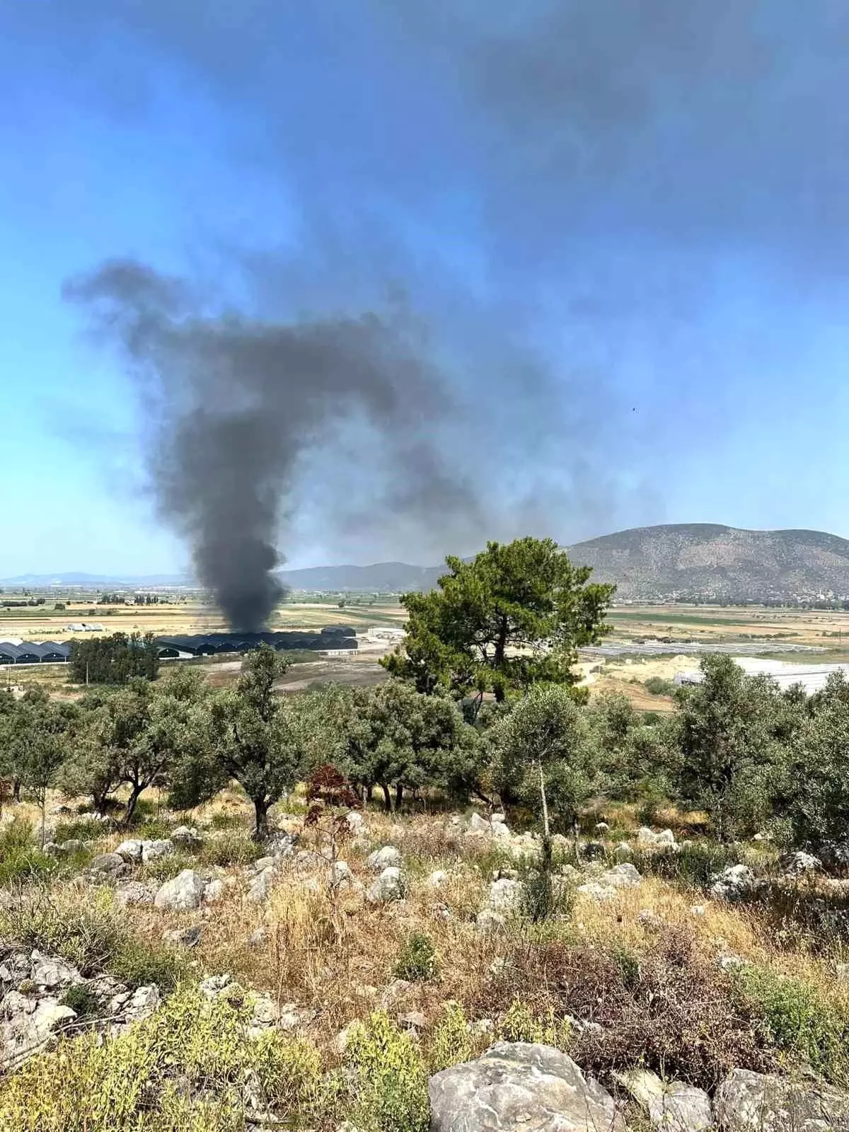 Muğla\'da Balık Üretim Tesisinde Yangın
