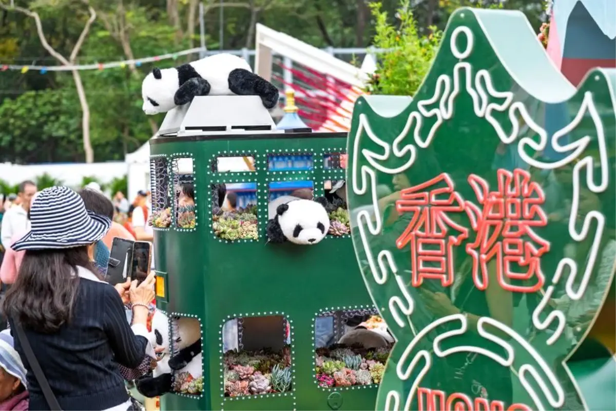 Hong Kong\'a Ziyaretçi Akışı Artıyor