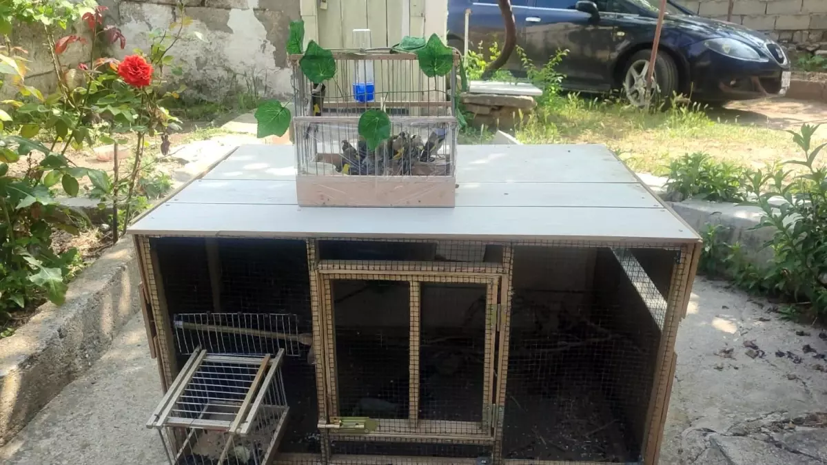 Kırşehir\'de Saka Kuşu Avcılarına Operasyon