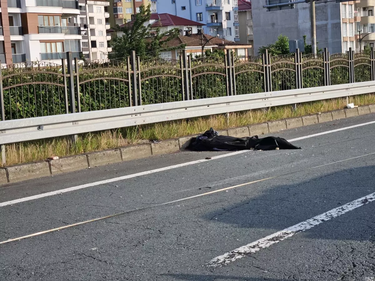 Abla ve kardeşin can verdiği kazaya arı neden olmuş