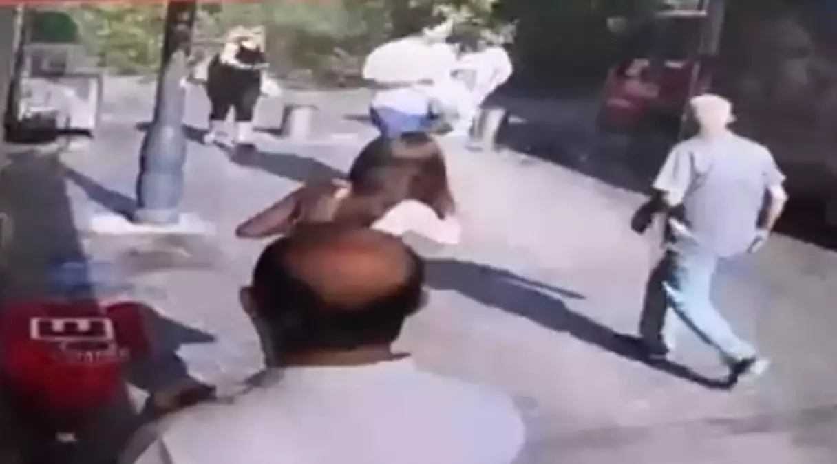 İzmir\'de Asırlık Çınar Devrildi
