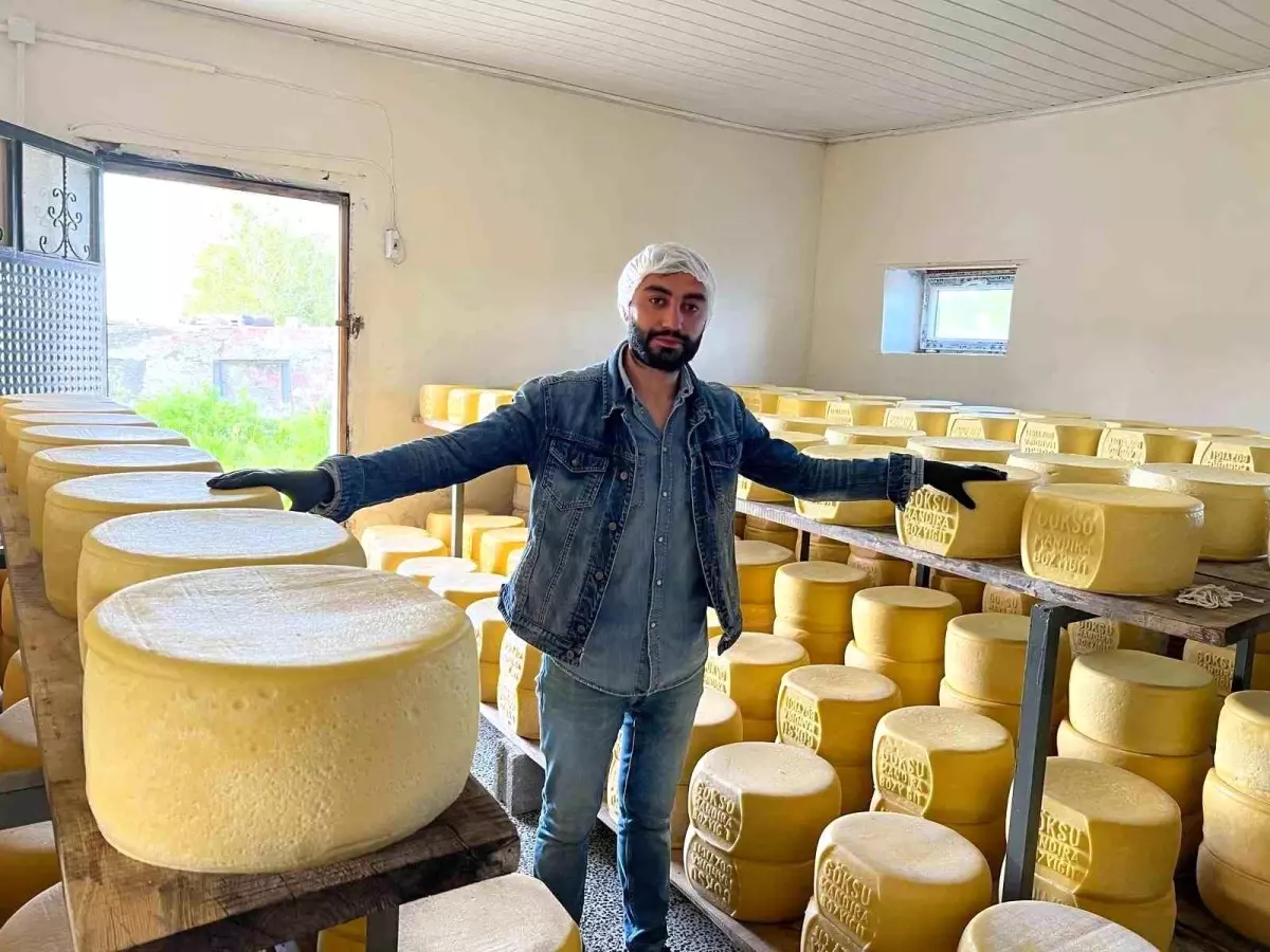 Kars\'ta Eski Kaşar Peyniri Üretimi