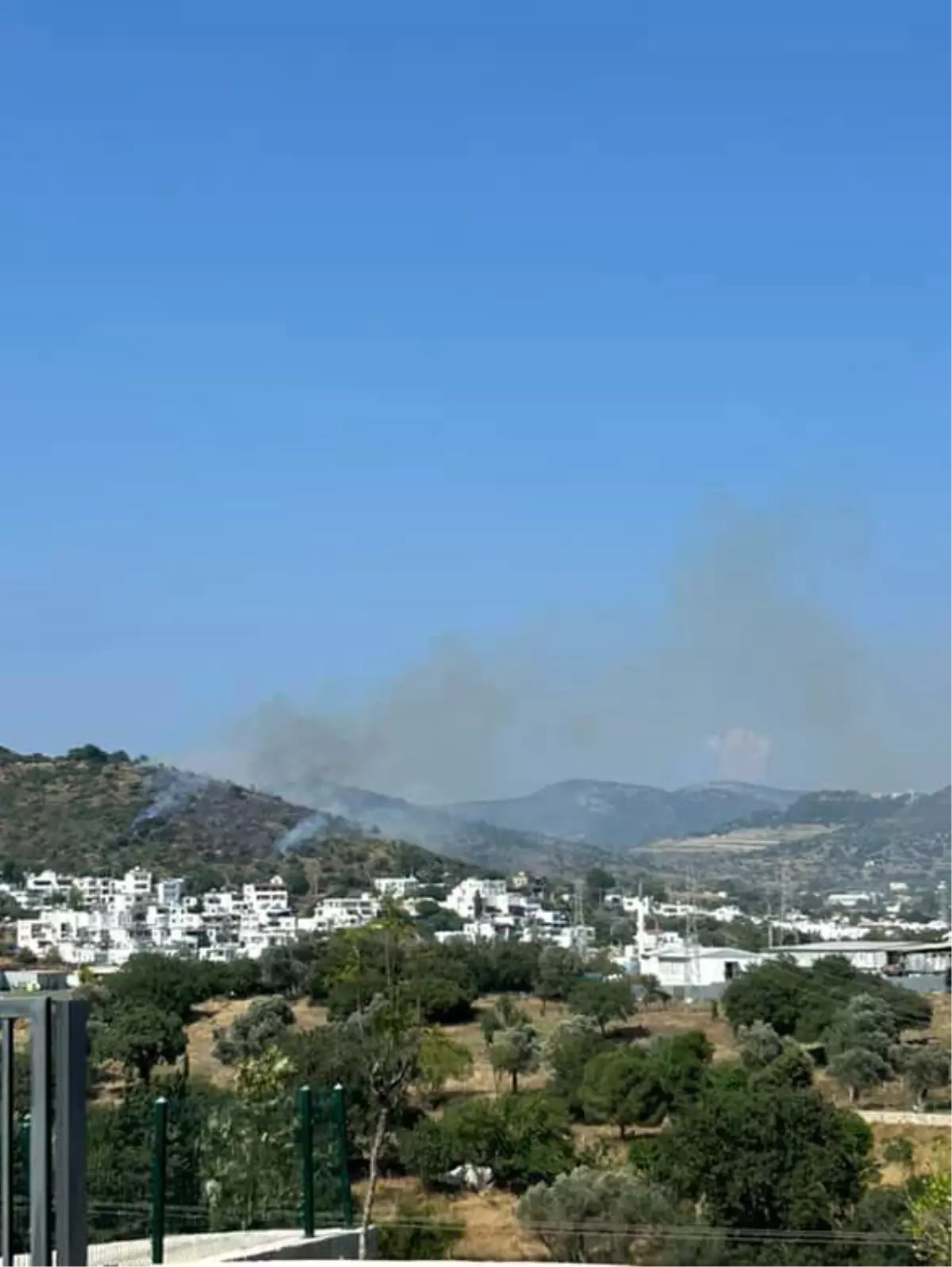 Bodrum\'da Yangın: Ekipler Mücadele Ediyor