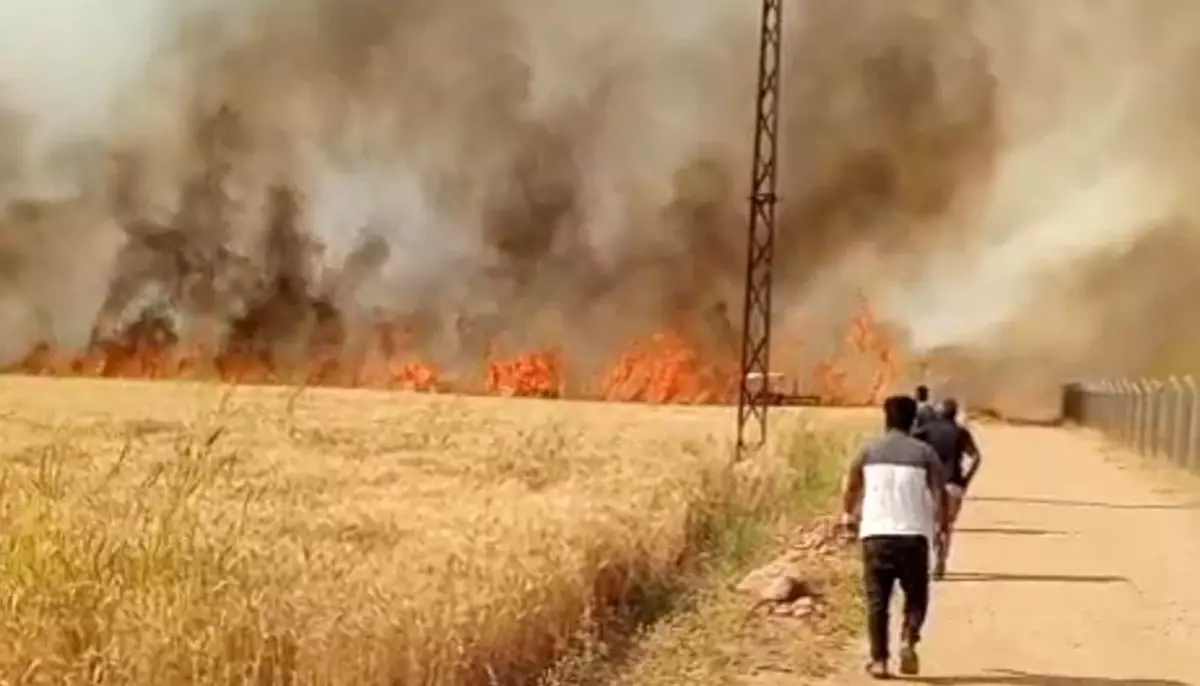Harran\'da Buğday Tarlası Yangını
