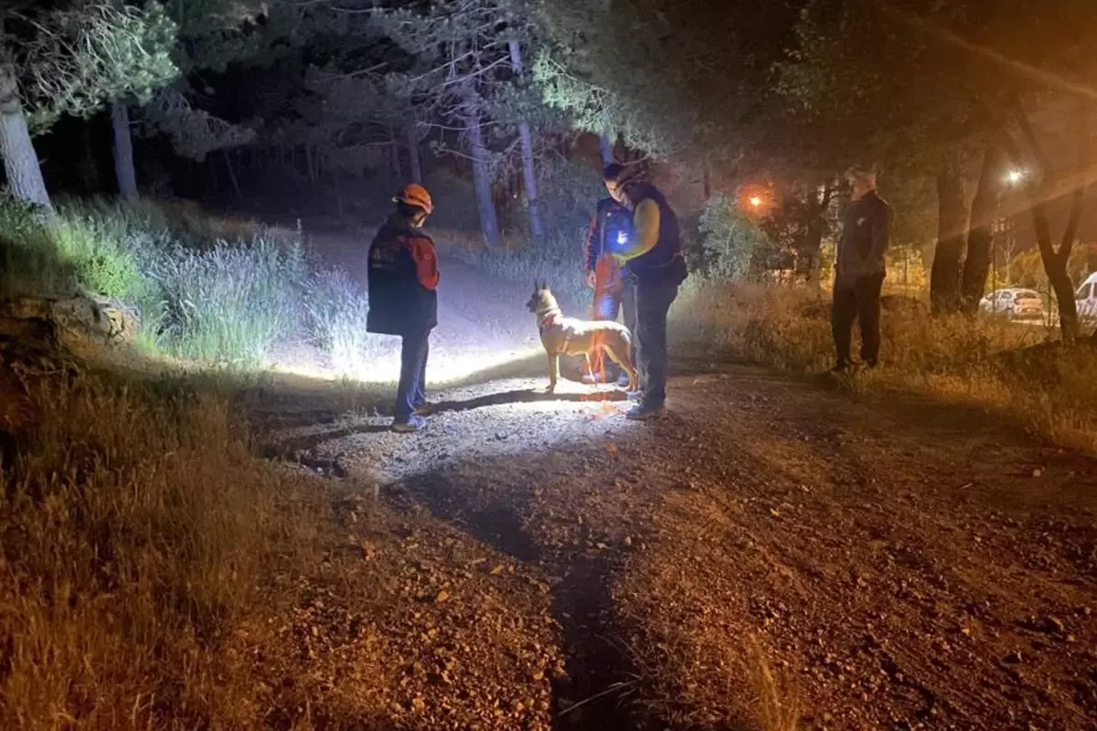 Pendik\'te esrarengiz olay! Ormana girdi bir daha haber alınamadı