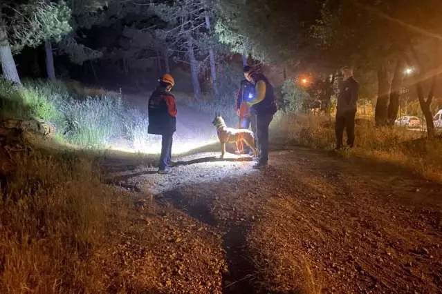 Pendik'te esrarengiz olay! Ormana girdi bir daha haber alınamadı | Detaylı Analiz