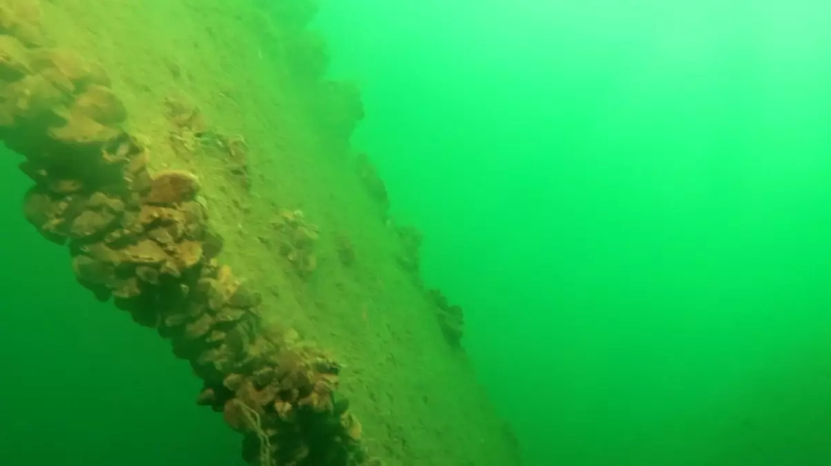 Sapanca Gölü\'ne düşen foto keşif uçağının enkazı 53 yıl sonra görüntülendi