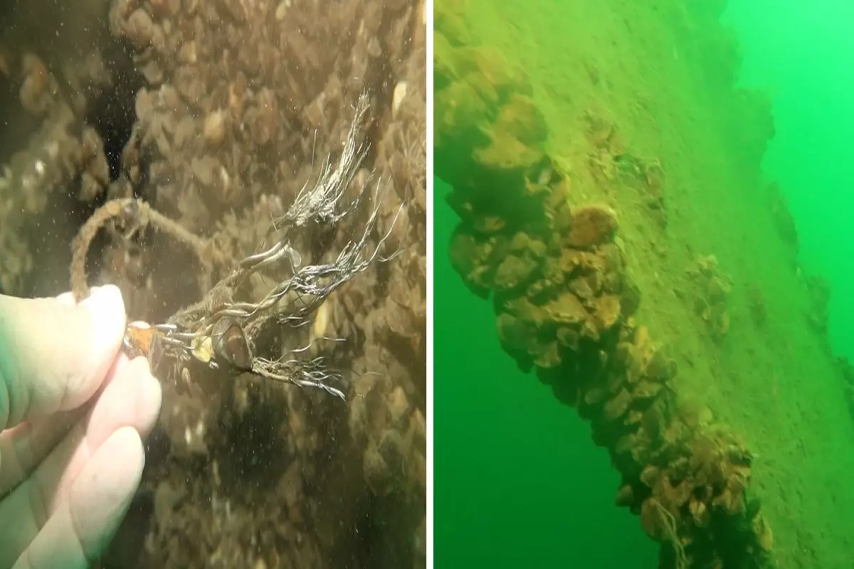 Sapanca Gölü\'ne düşen uçağın enkazı 53 yıl sonra yeniden görüntülendi