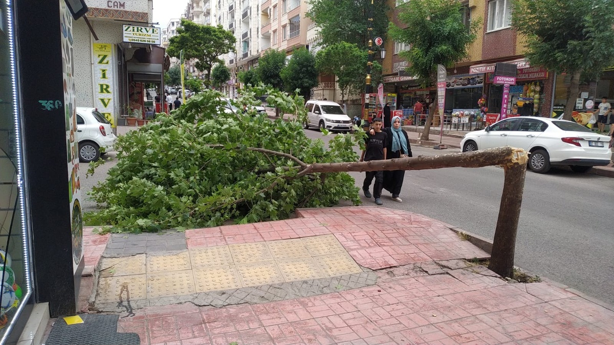 Siirt\'te Şiddetli Rüzgar Hasara Yol Açtı