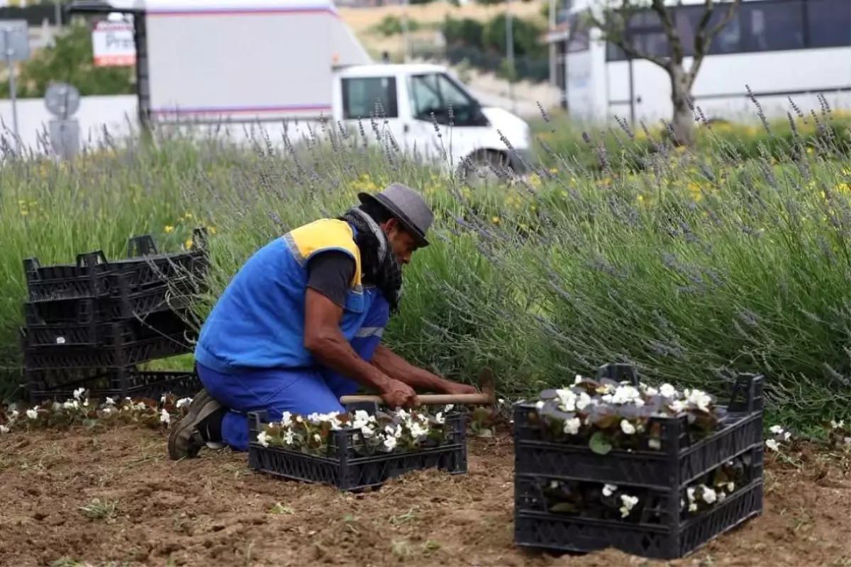 Silivri\'de Yeşil Alanlarda Bakım Seferberliği