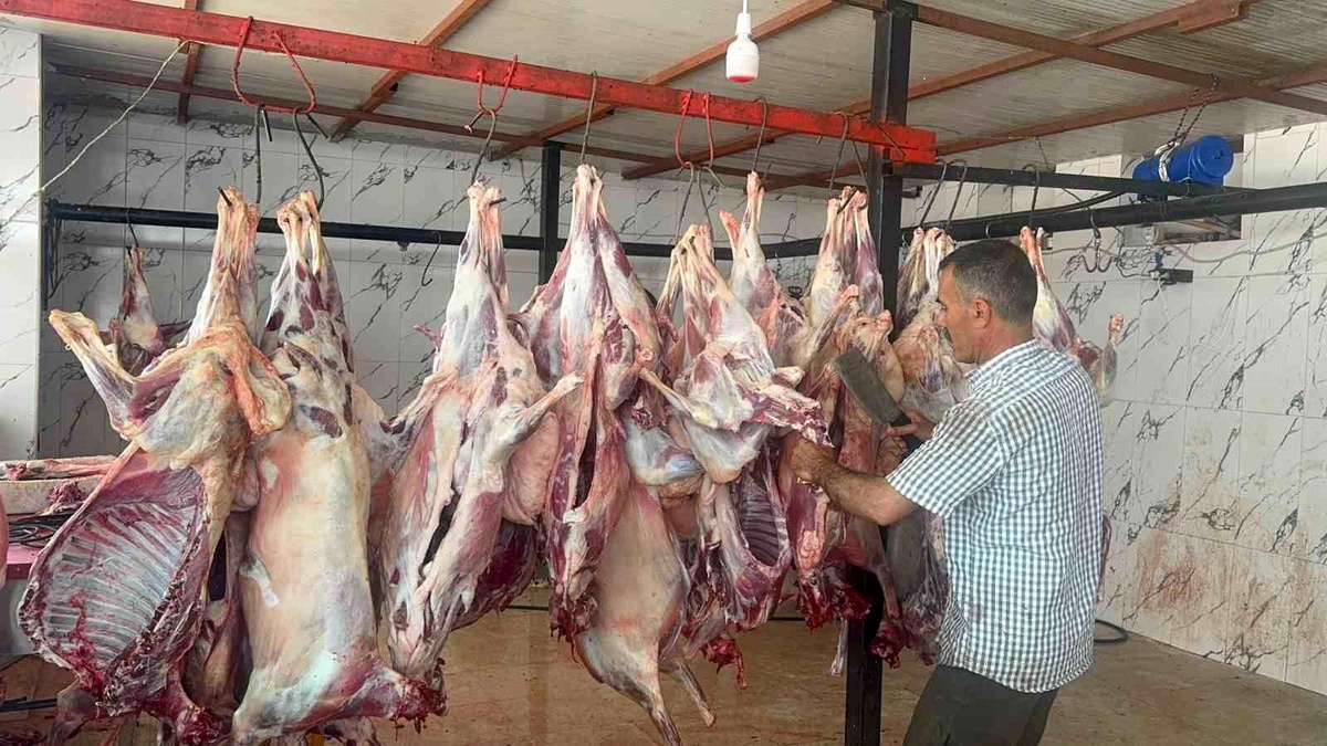 Hayırseverler 44 Küçükbaş Hayvanı İhtiyaç Sahiplerine Ulaştırdı