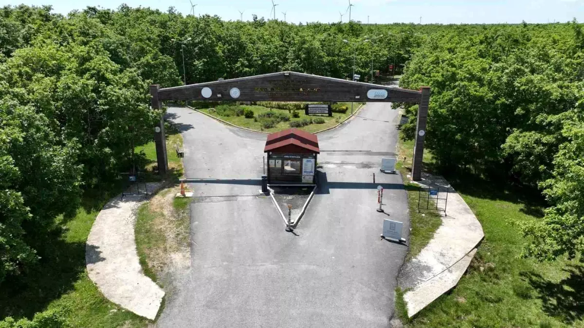 Danamandıra Tabiat Parkı: Doğa Severler İçin Yeni Bir Cennet