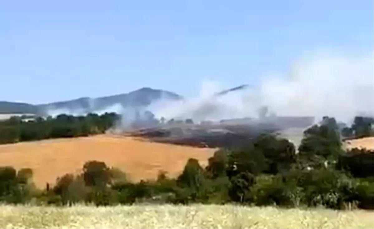 Gönen\'de Buğday Tarlasında Yangın