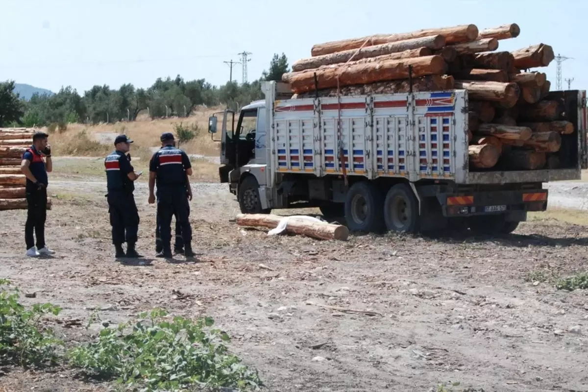 Gümüşhane\'de başına tomruk düşen işçi hayatını kaybetti