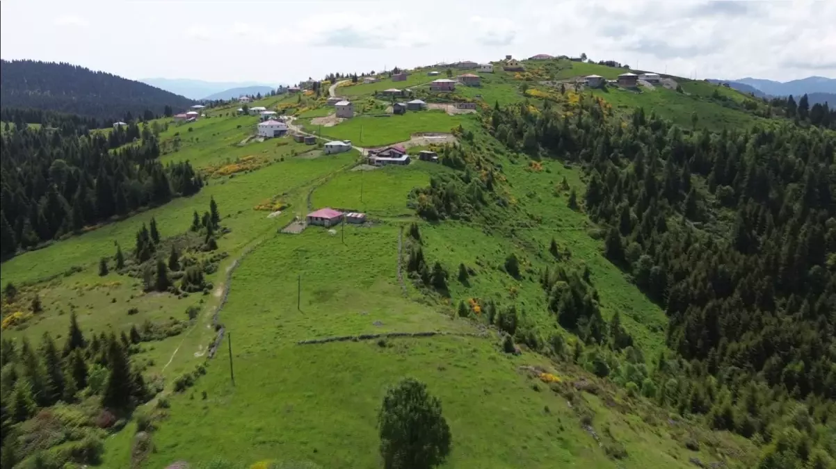 Yayla Göçü Gelenekleri Renkli Görüntülerle Yaşatılıyor