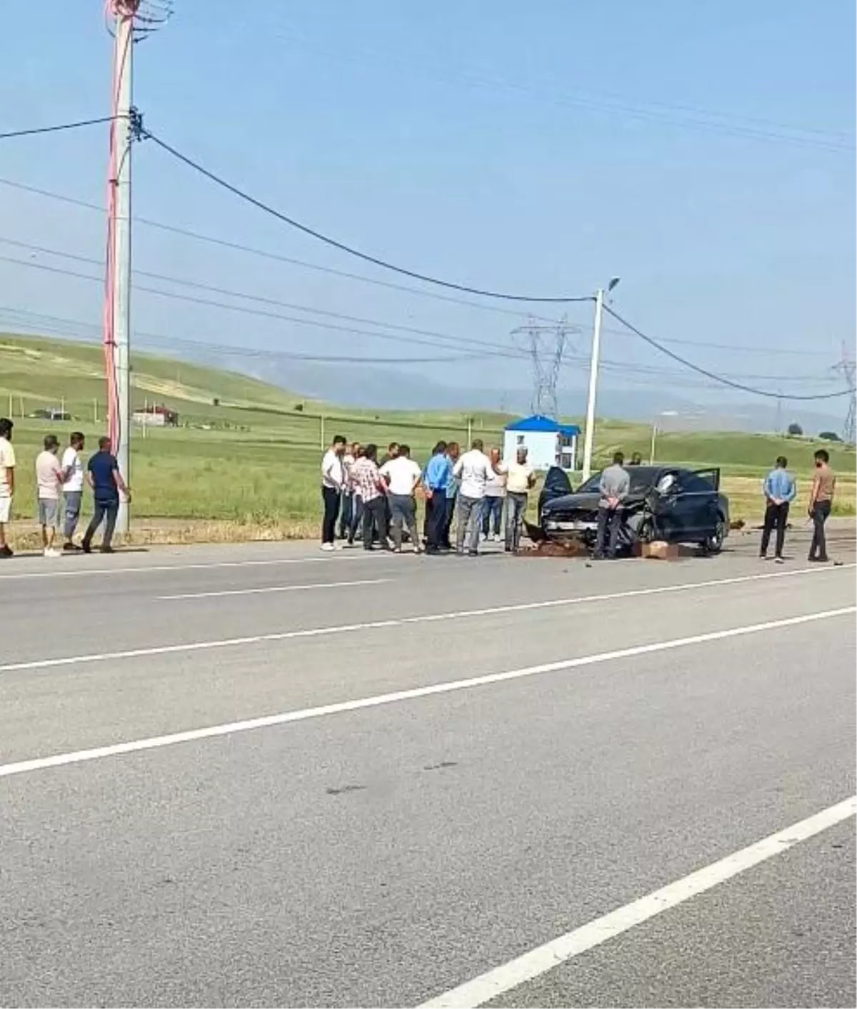 Otomobil Koyun Sürüsüne Çarptı