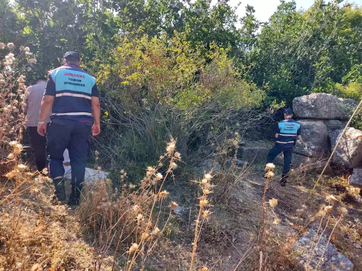 Didim\'de Koruma Altındaki İncir İlegi Çalan İki Şüpheli Yakalandı